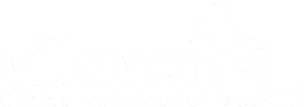Villavet