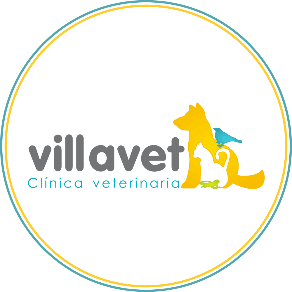 Villavet Exóticos